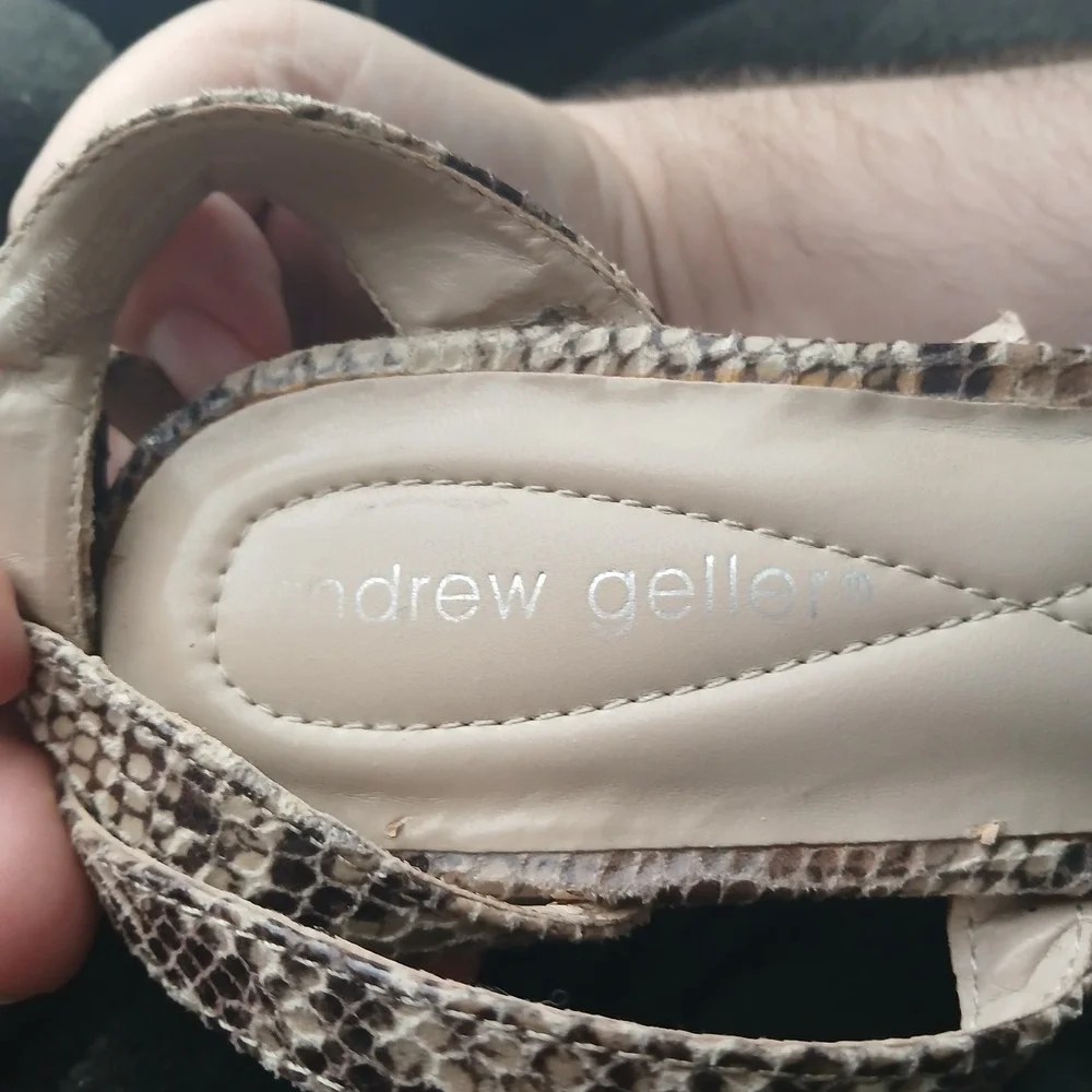 Andrew Geller andrew geller